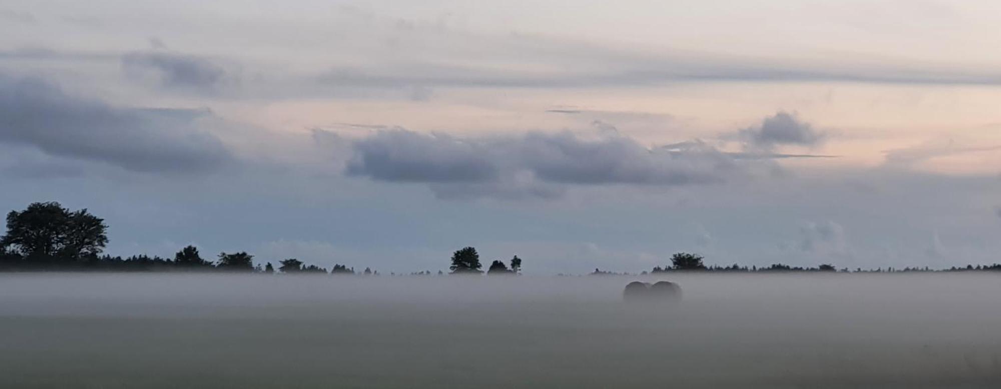 Anni Tourism Farm Villa Tammese Esterno foto