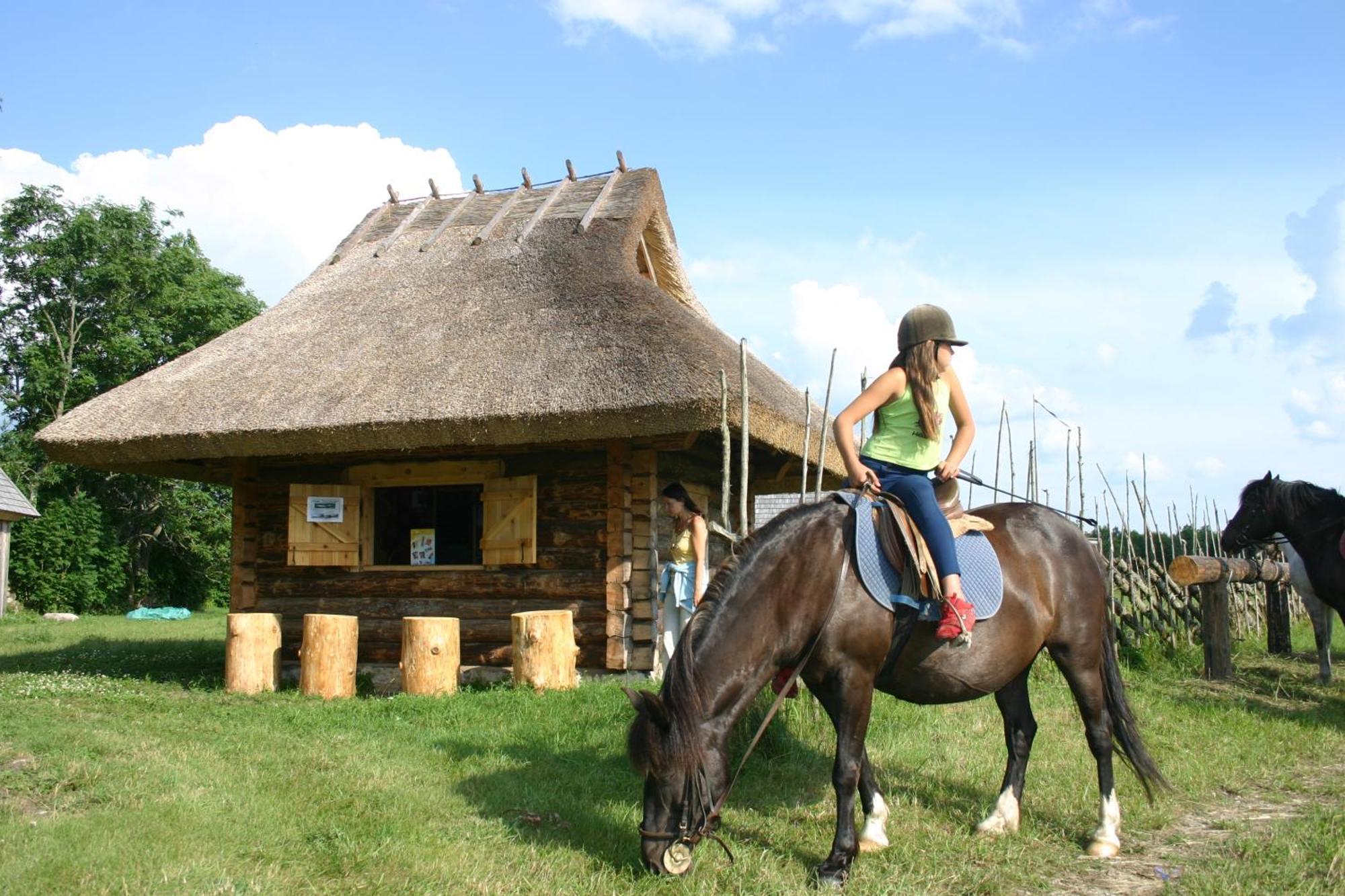 Anni Tourism Farm Villa Tammese Esterno foto