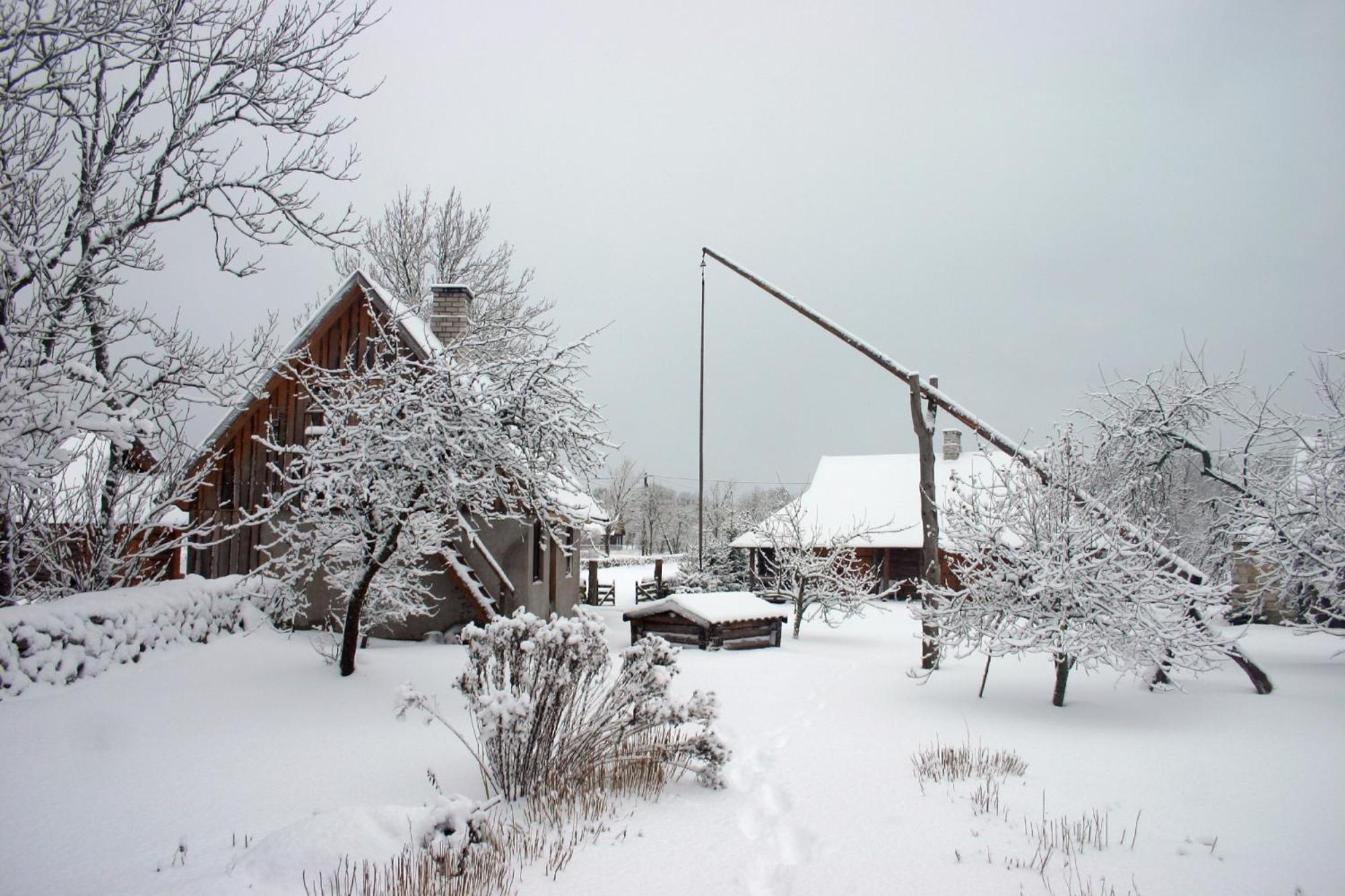 Anni Tourism Farm Villa Tammese Esterno foto