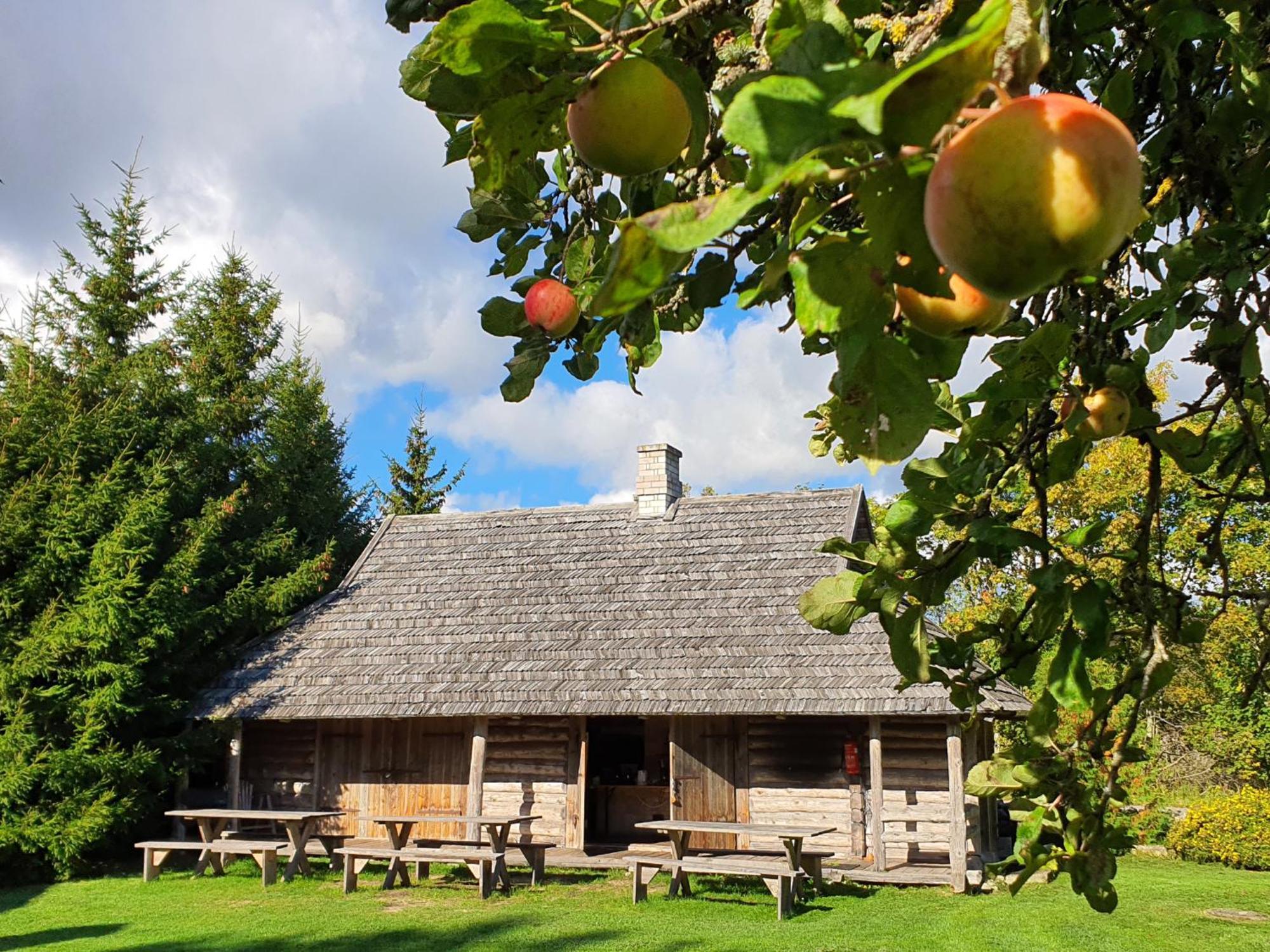 Anni Tourism Farm Villa Tammese Esterno foto